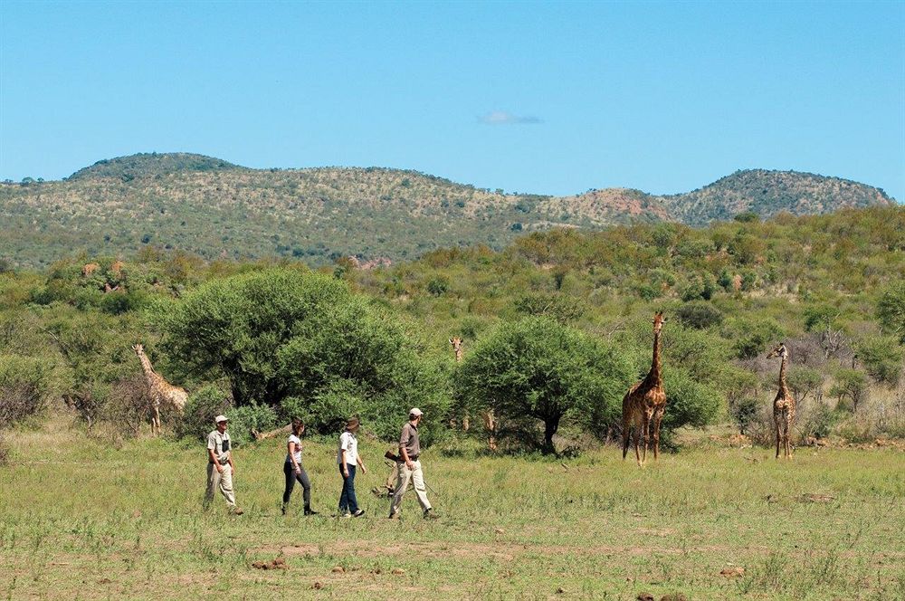 Madikwe Safari Lodge Melorane 외부 사진