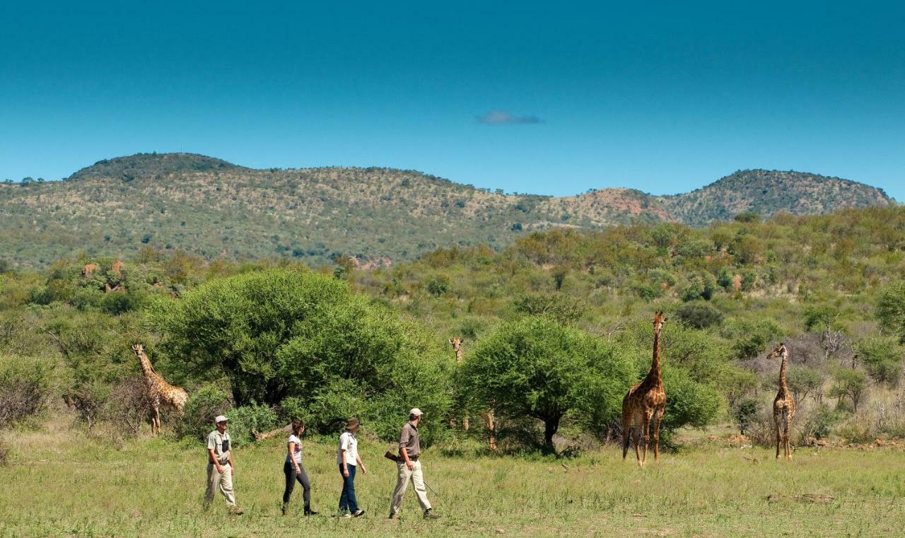 Madikwe Safari Lodge Melorane 외부 사진