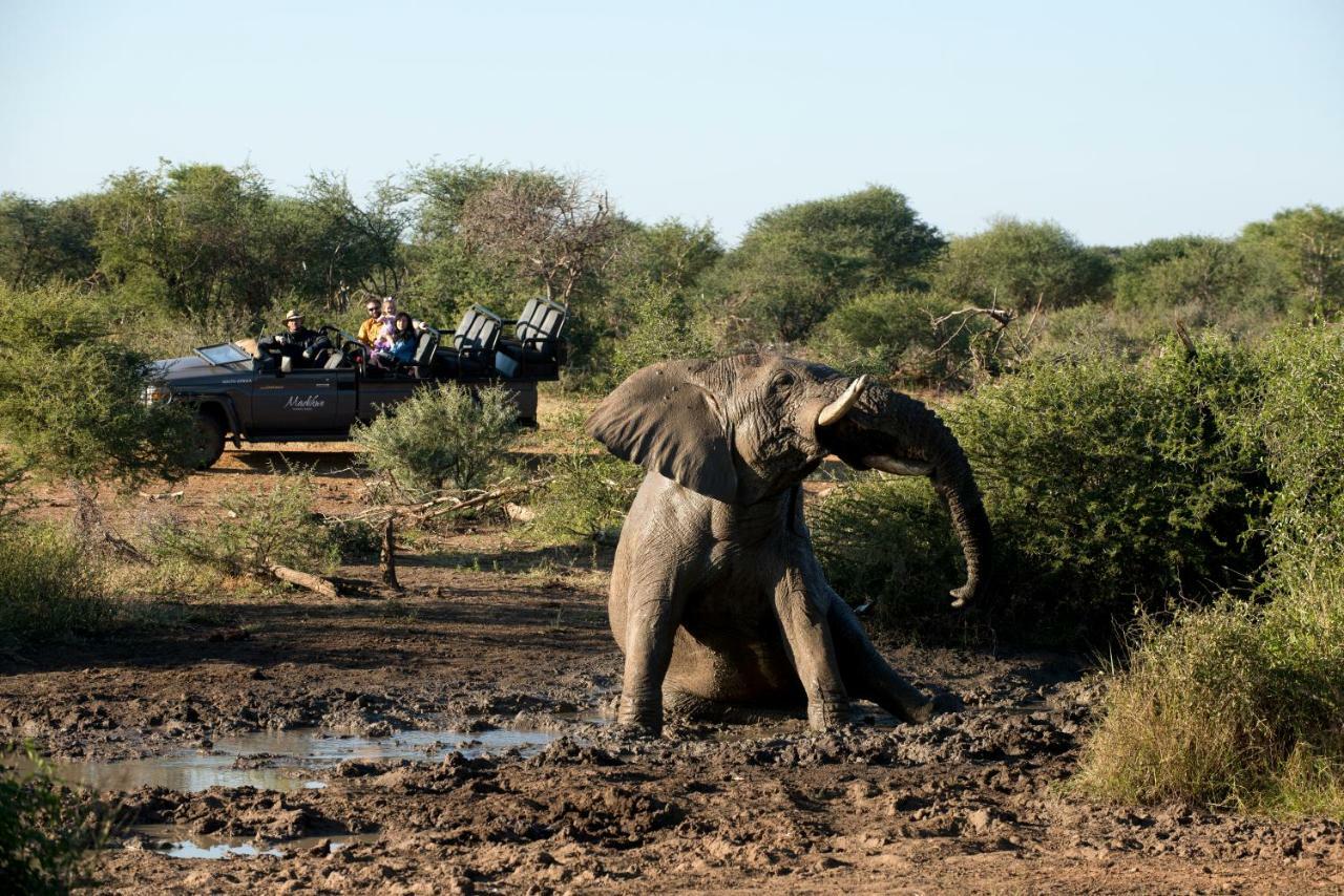 Madikwe Safari Lodge Melorane 외부 사진